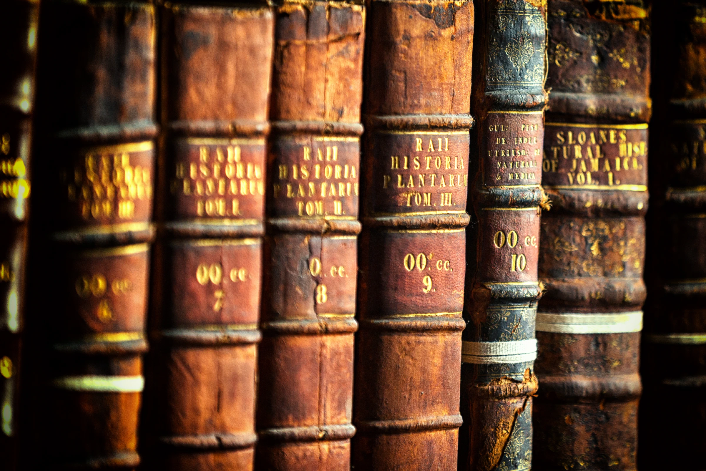 Trinity College Library, Dublin