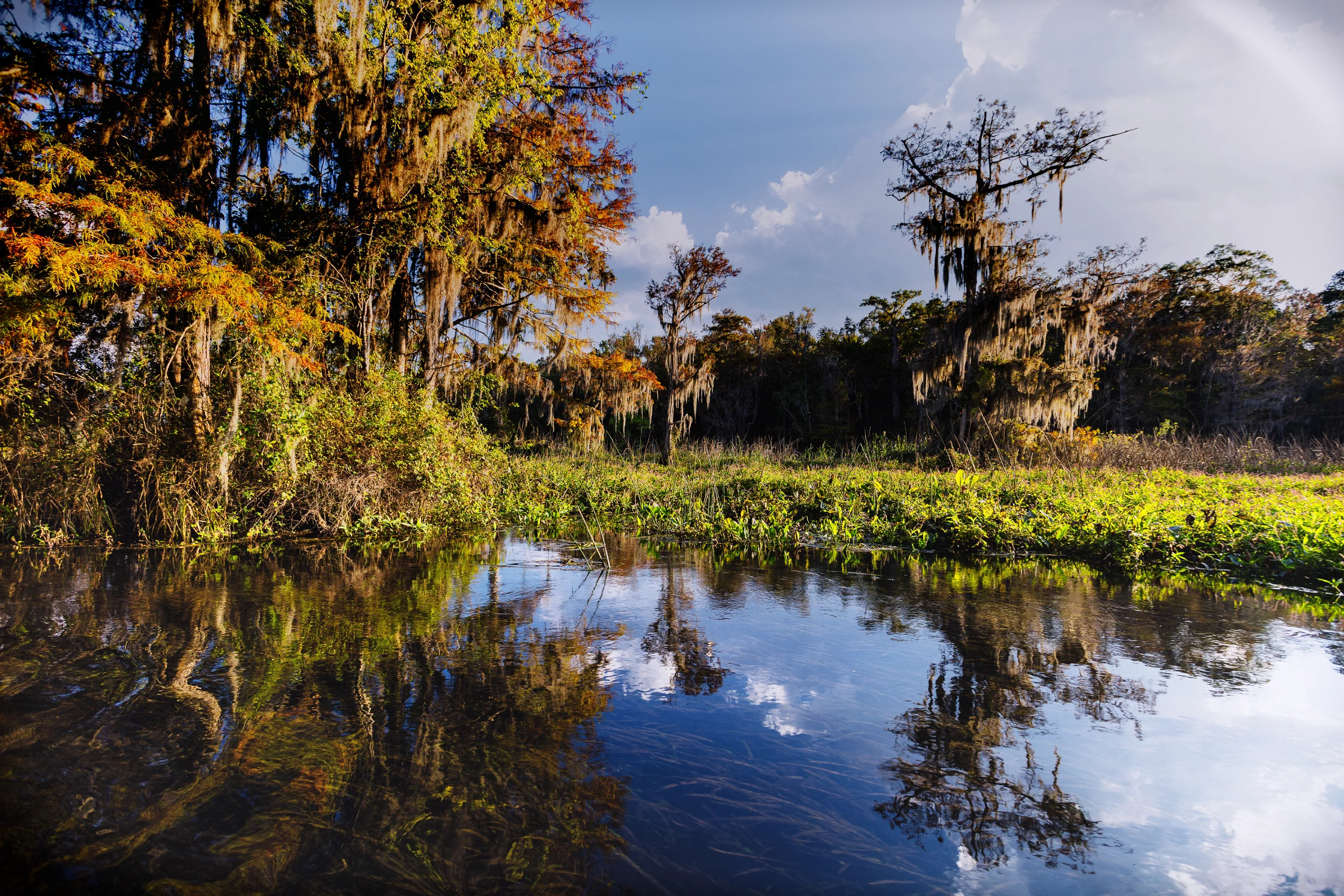 Wakulla River