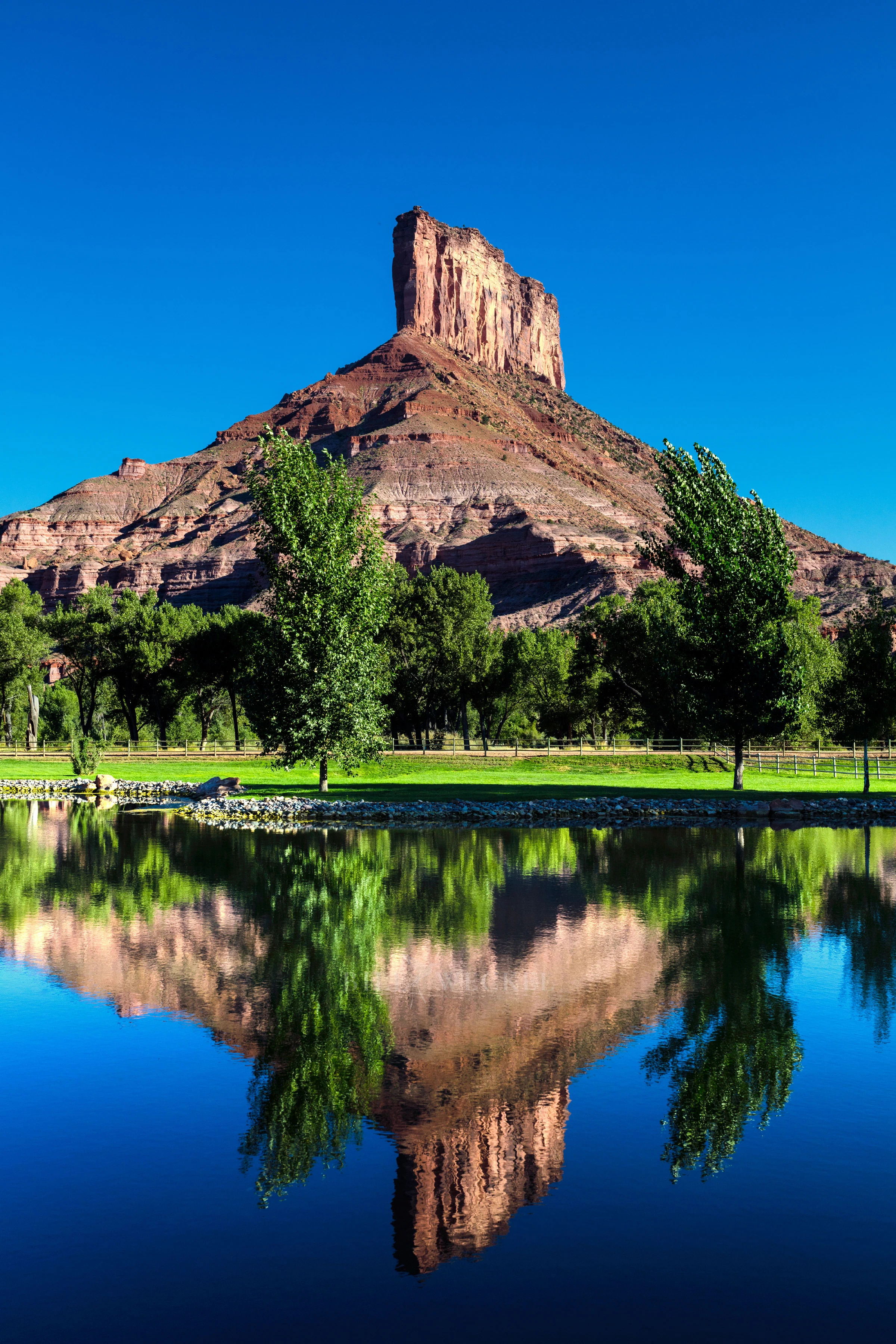 The Palisade
