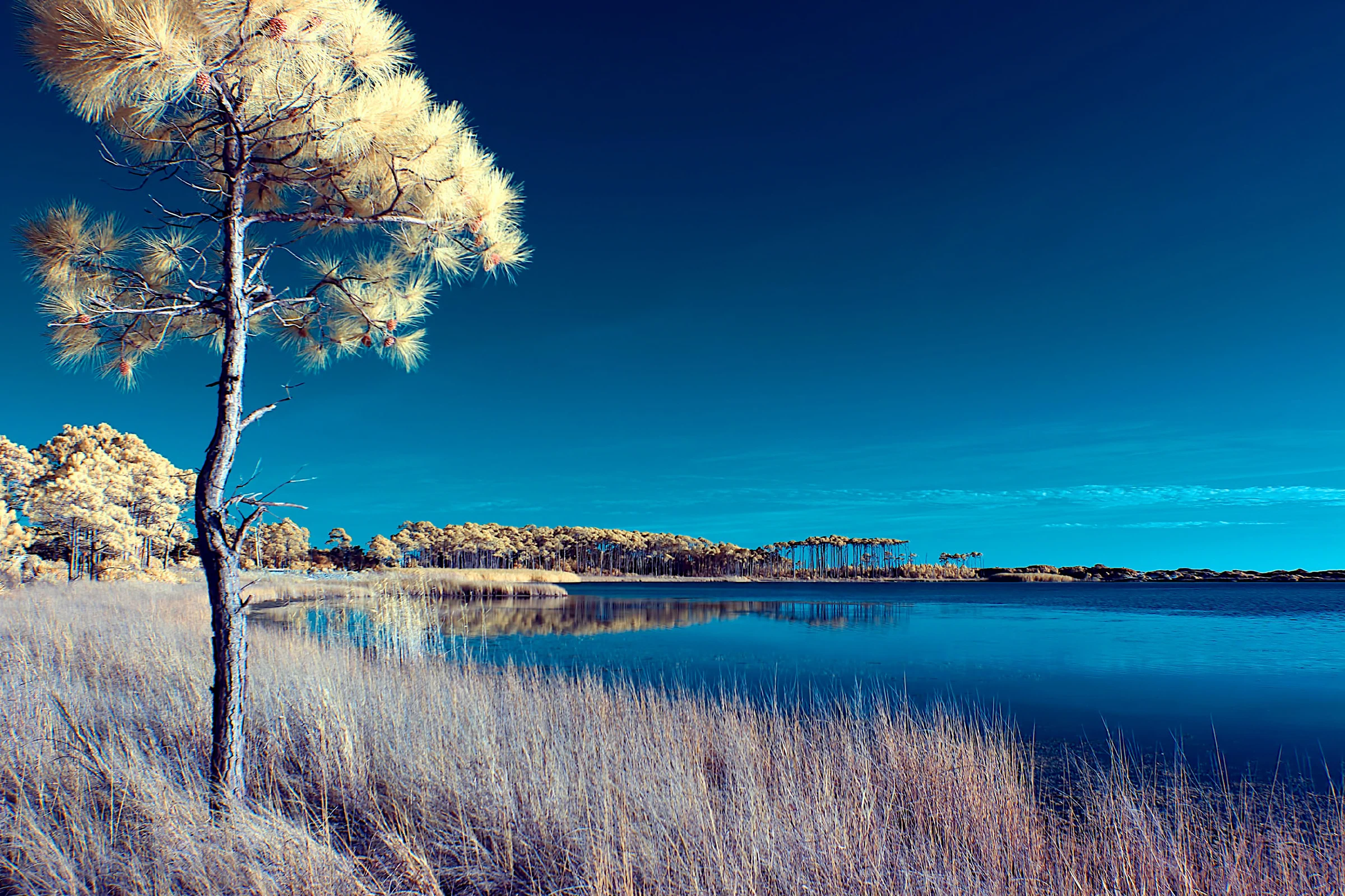 Western Lake in Infra-red