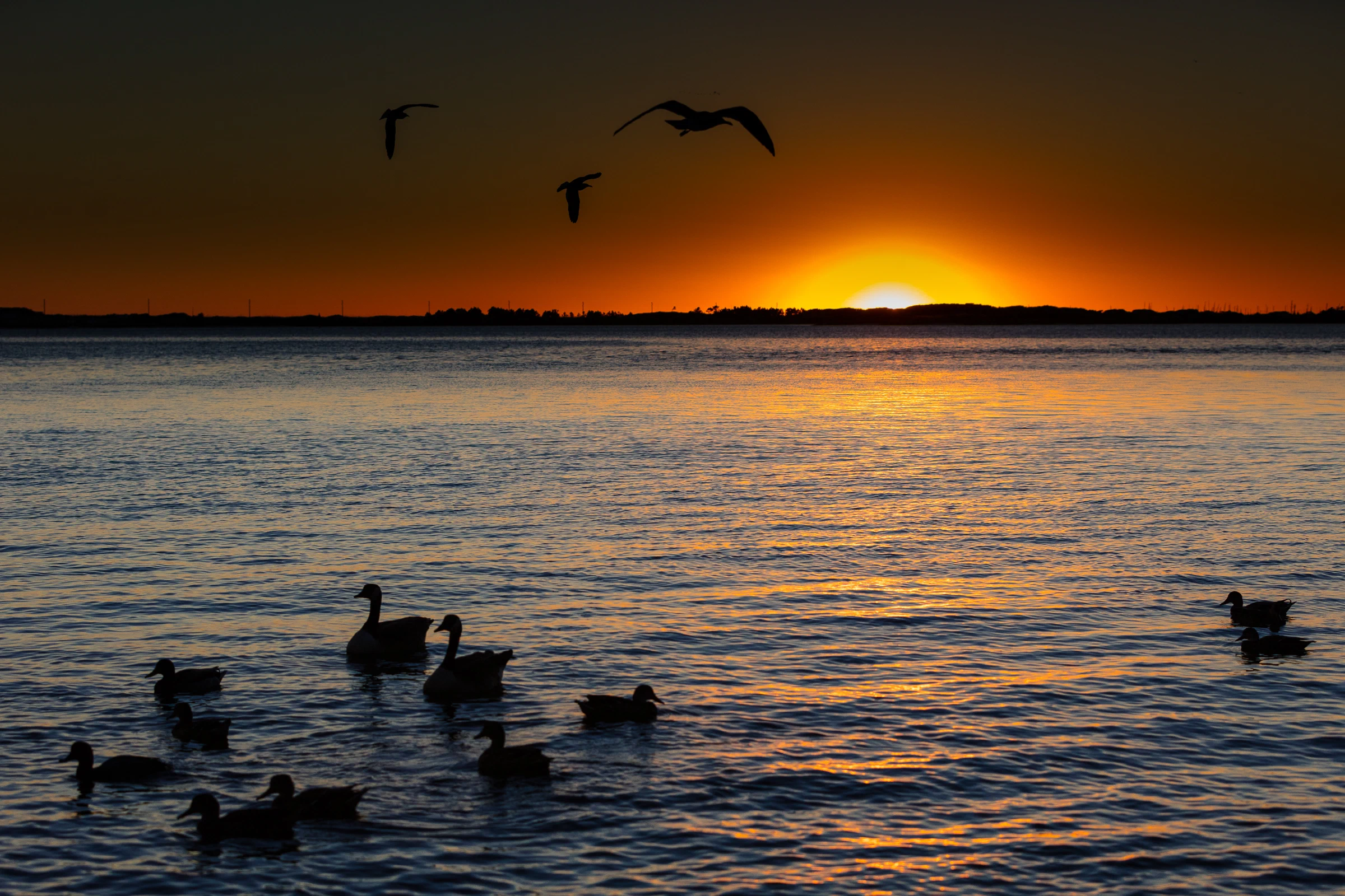 Santa Rosa Sound